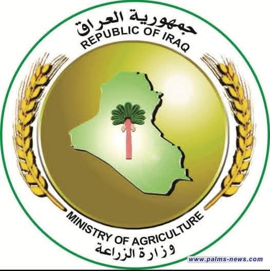 الزراعة: تحقيق إنتاجية كبيرة للمحاصيل ذات الرتب العليا في عموم المحافظات